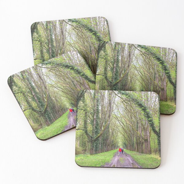 Item preview, A forest walk designed and sold by Kiwikipedia.