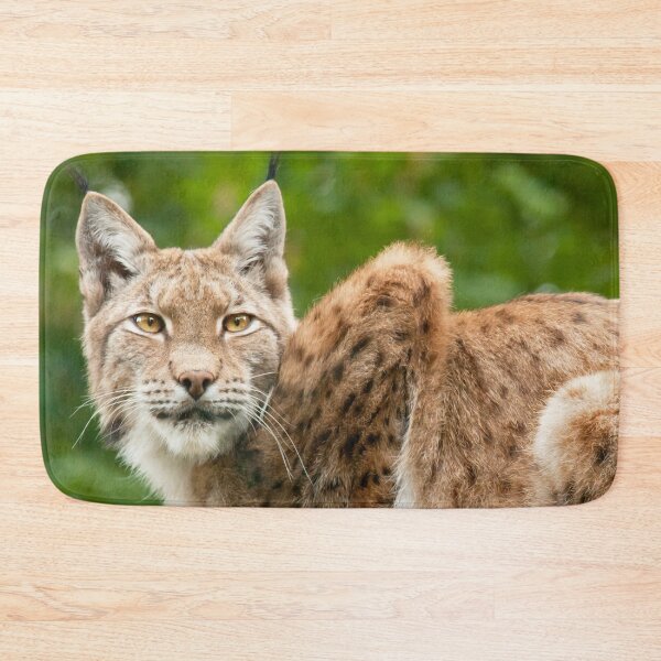 Item preview, Golden eyes designed and sold by Dominika Aniola.