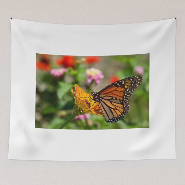 Item preview, Color Bonanza designed and sold by Brenda Burnett.