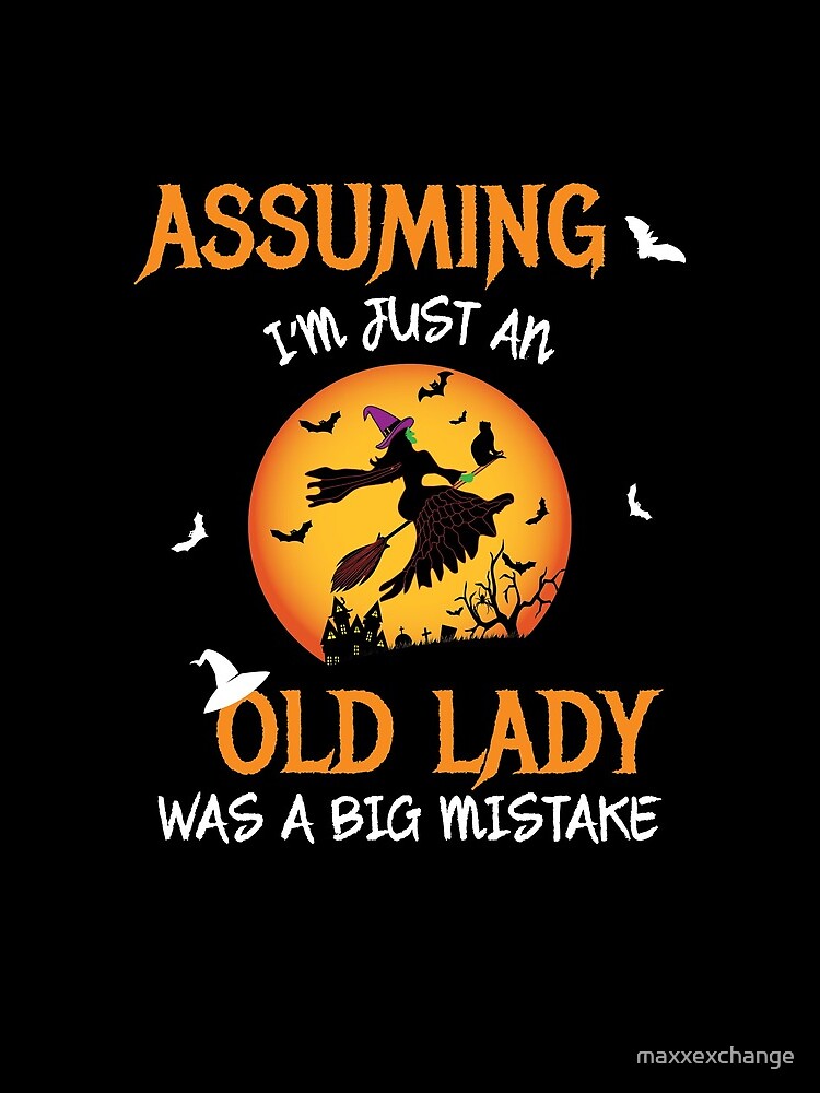 Old Lady Witch Broomstick Black Cat Bats Spider. by maxxexchange