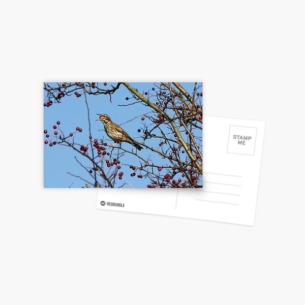 Item preview, Redwing designed and sold by dilouise.