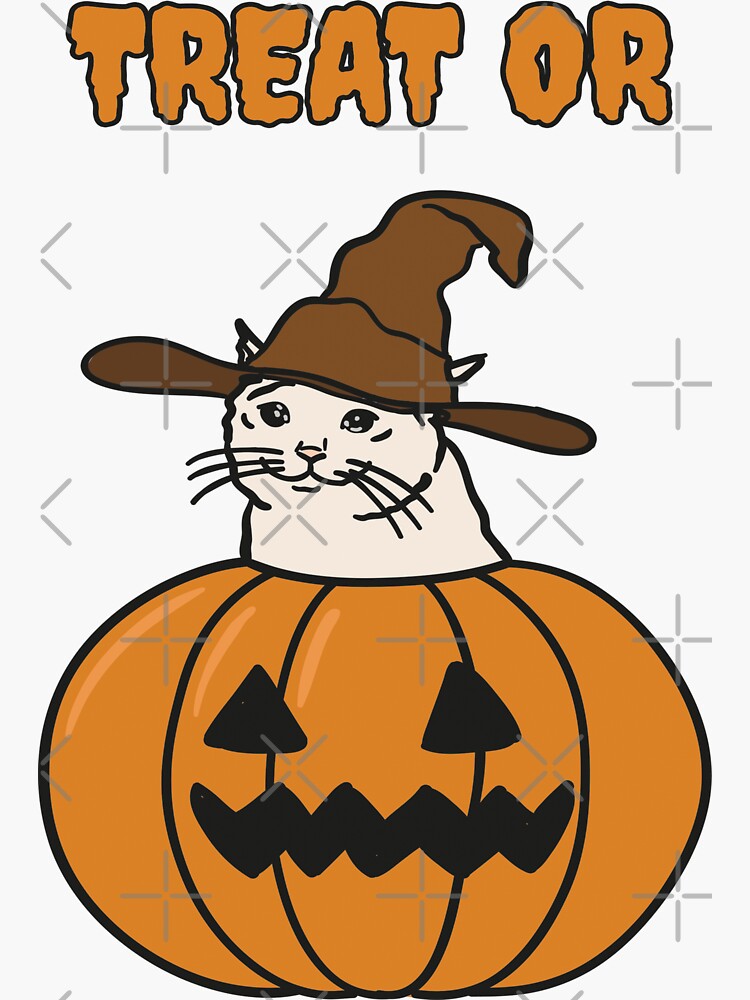 "Trick or Treating Halloween Meme of a Crying Cat In Pumpkin Jack O