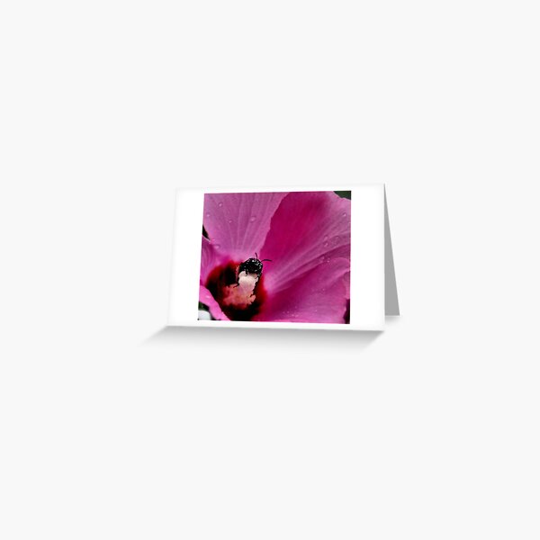 Pollen, Yum! Greeting Card
