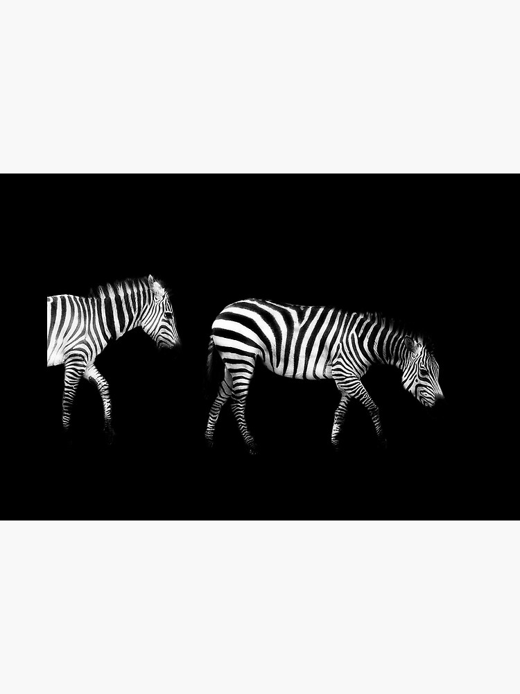 Double Zebra Drama by KayBrewer