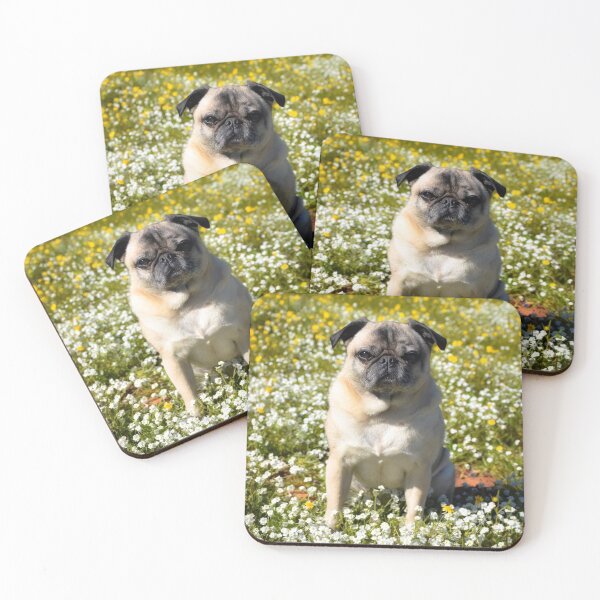 Item preview, Sunny California Day designed and sold by pugventurephoto.