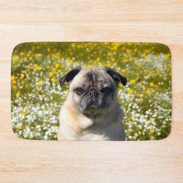 Item preview, Sunny California Day designed and sold by pugventurephoto.