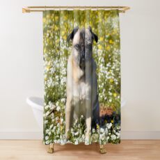 Sunny California Day Shower Curtain
