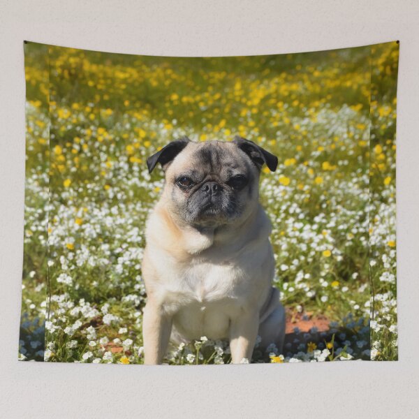 Item preview, Sunny California Day designed and sold by pugventurephoto.