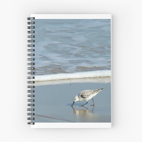 Item preview, Sanderling designed and sold by Bill Morgenstern.
