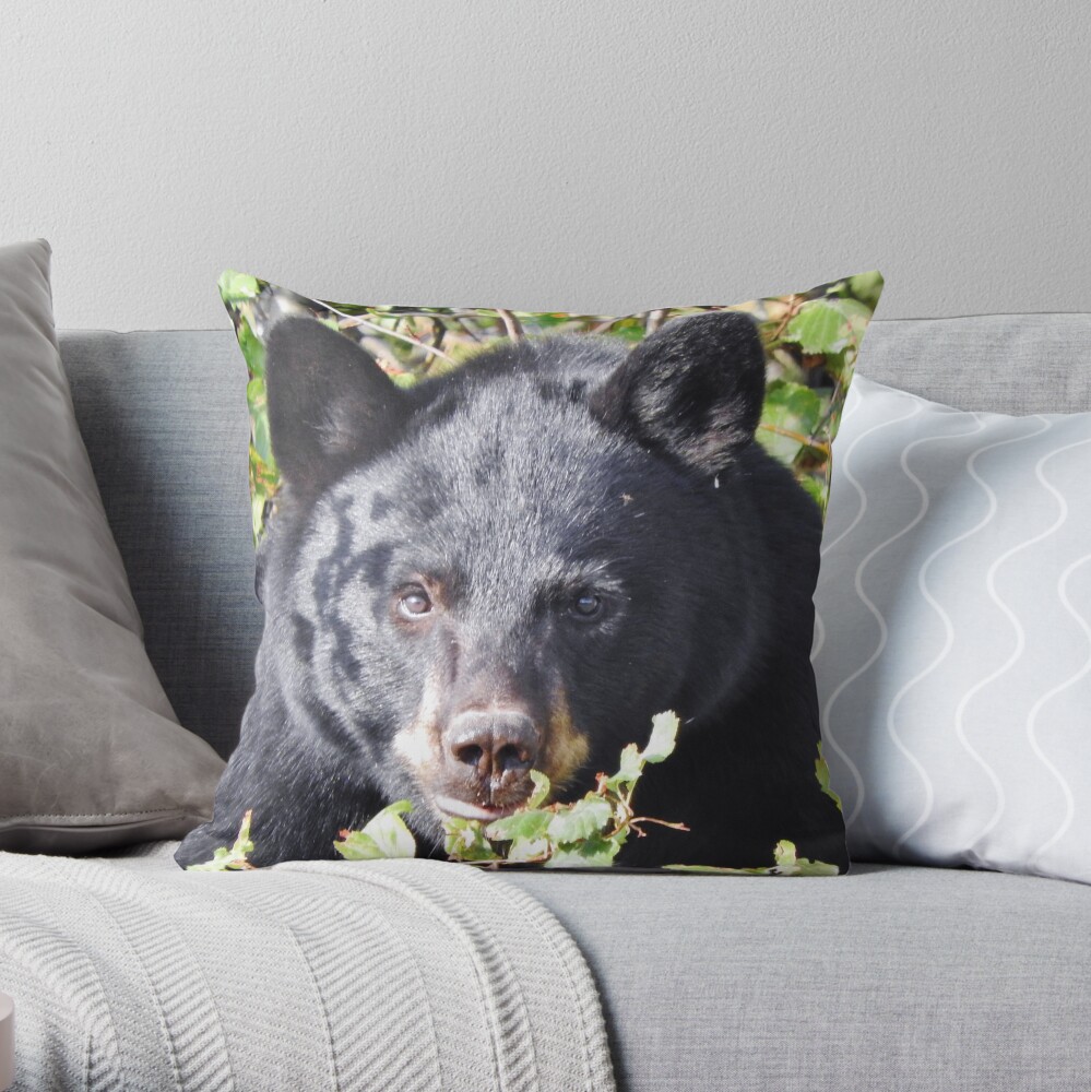 Black Bear Stare Throw Pillow