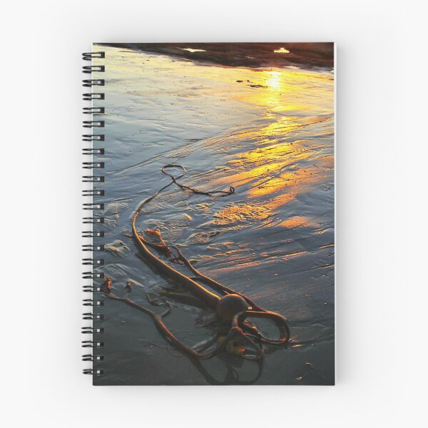 Item preview, Washed Up designed and sold by Barbara  Brown.