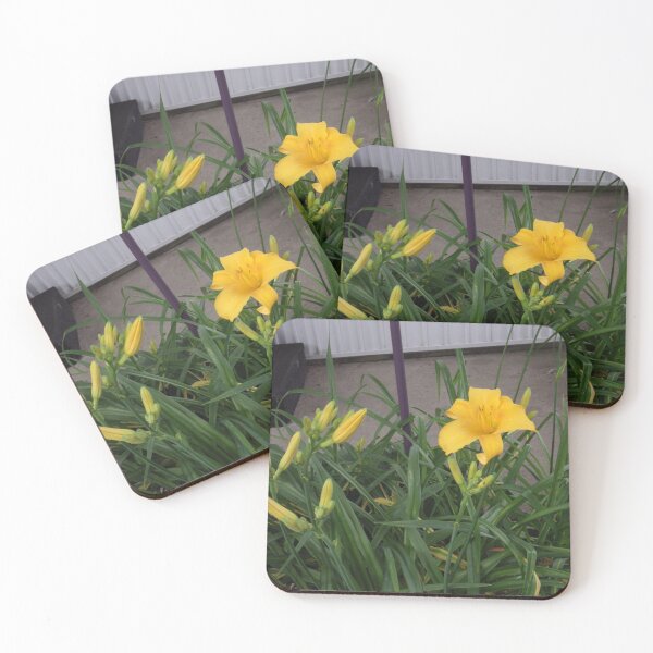 Item preview, Yellow Lilly                                                       Pentax X-5 16 MP designed and sold by TKUsitalo.