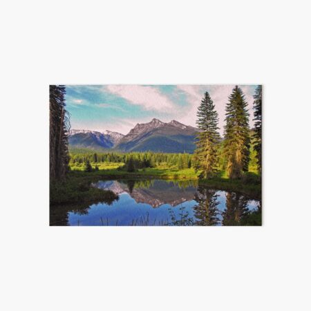 Montana Cabinet Mountains Art Board Print