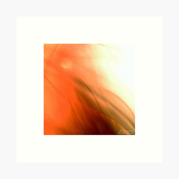 Shining Through Art Print