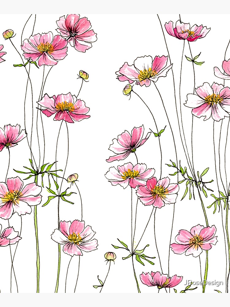 Pink Cosmos Flowers by JRoseDesign