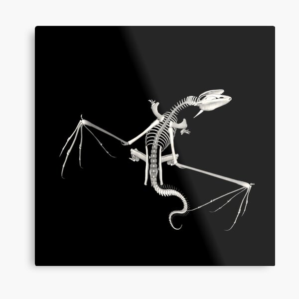 Dragon Skeleton Wall Art Redbubble - skeletal dragon head roblox