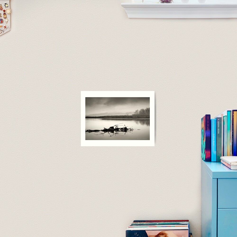 Debris Art Print