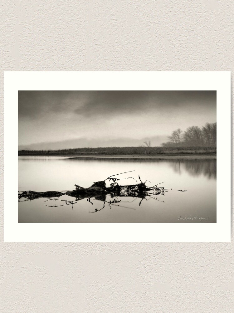 Alternate view of Debris Art Print