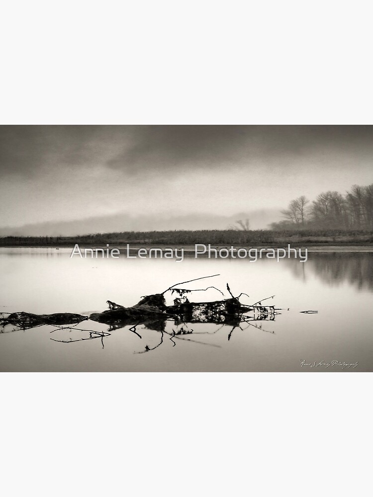 Debris by ajlphotography