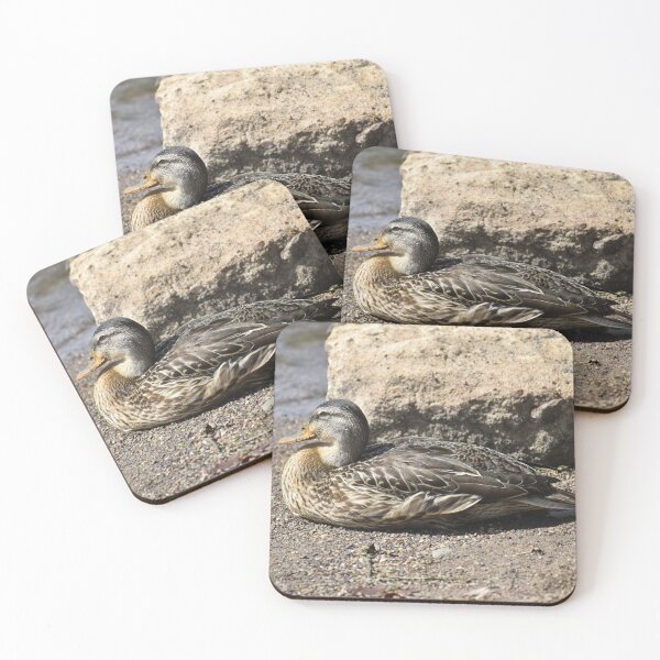Item preview, Female Mallard Duck on the Riverbank designed and sold by Kathleen Brant.
