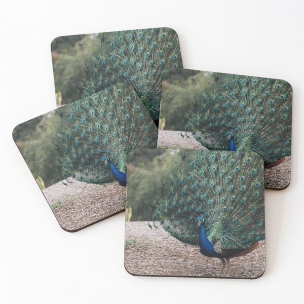 Item preview, Beautiful Peacock Feathers 2  designed and sold by Courtney Tomesch.
