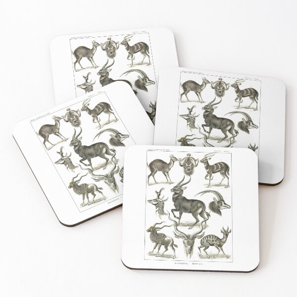 Item preview, Plate 100. Antilopina, the subfamily (now Antilopinae) of gazelles etc. designed and sold by Squirrox.
