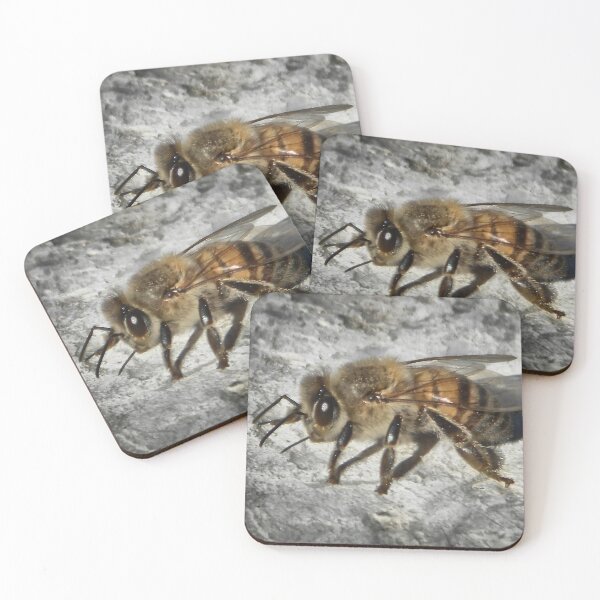 Item preview, ©NS Bee Close IIABT designed and sold by OmarHernandez.