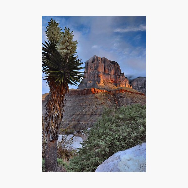 Item preview, El Capitan At Sunrise - Guadalupe Mountains designed and sold by Stephen Vecchiotti.