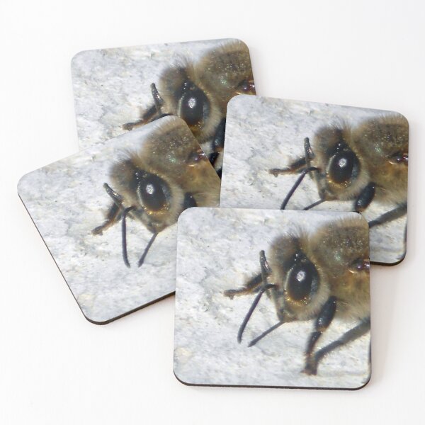 Item preview, ©NS Bee Close IAT designed and sold by OmarHernandez.
