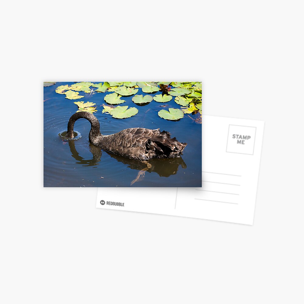 Item preview, Postcard designed and sold by RICHARDW.