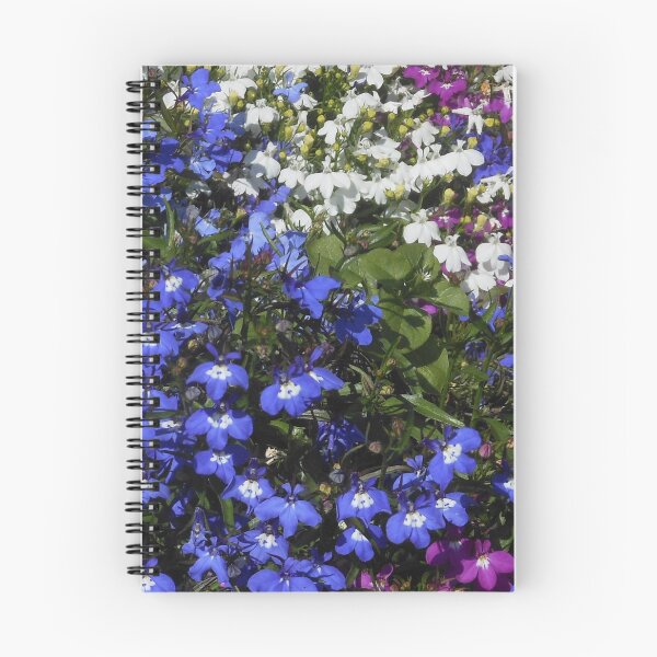 Item preview, Colourful Lobelia designed and sold by MidnightMelody.