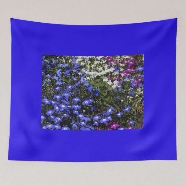 Item preview, Colourful Lobelia designed and sold by MidnightMelody.