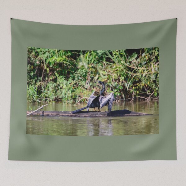 Item preview, Anhinga designed and sold by raymona pooler.