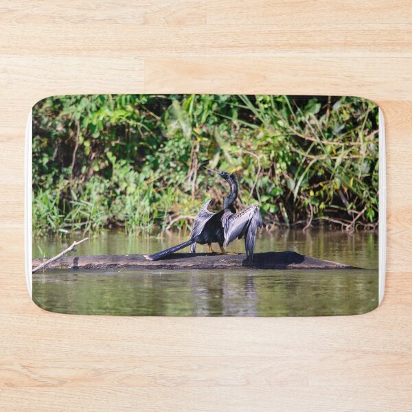 Item preview, Anhinga designed and sold by raymona pooler.