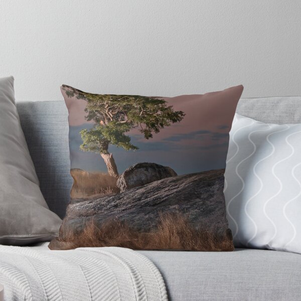 Item preview, Late light at the rocks. designed and sold by David  Hibberd.