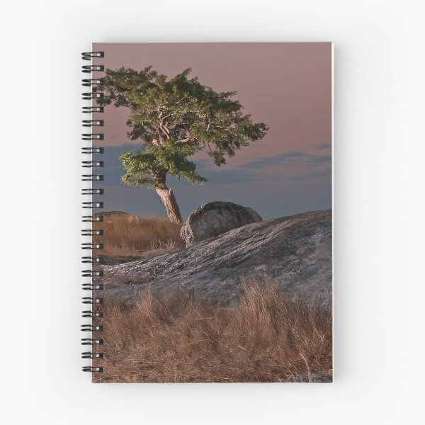Item preview, Late light at the rocks. designed and sold by David  Hibberd.