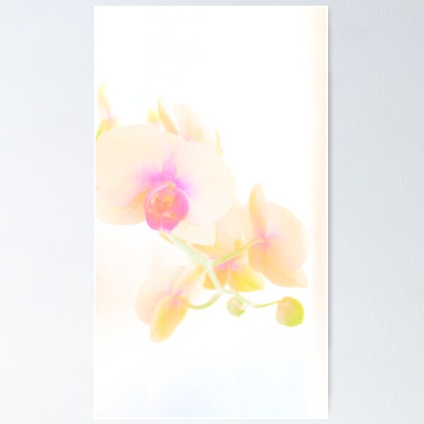 Item preview, Hello designed and sold by su2anne.