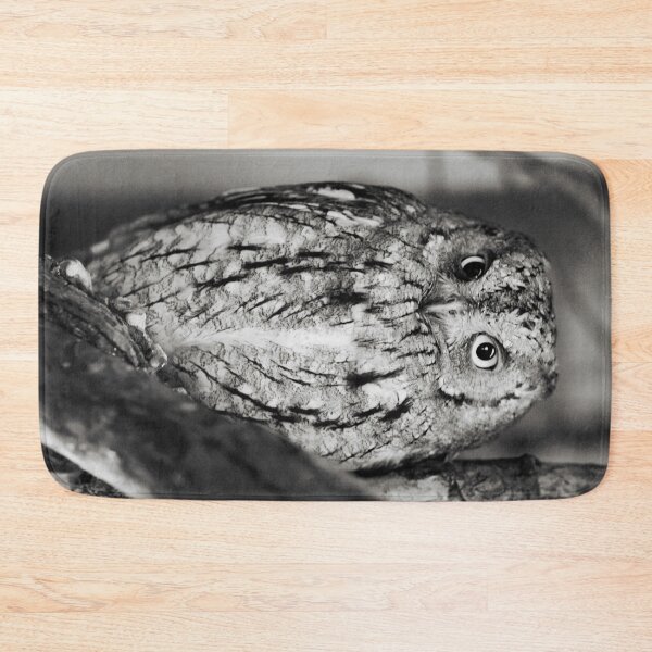 Item preview, Little Owl designed and sold by Dominika Aniola.