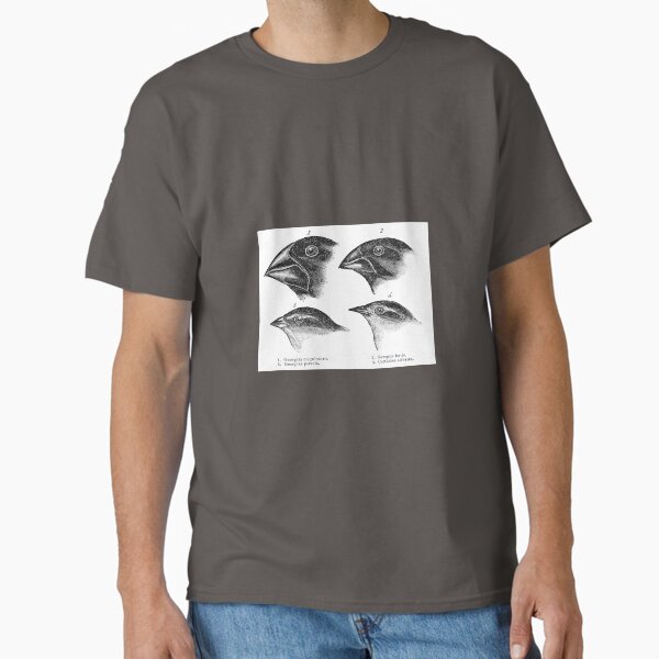 Item preview, Darwin's finch  designed and sold by HomeOfAfrica.