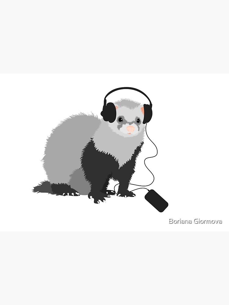 Funny Musical Ferret by azzza