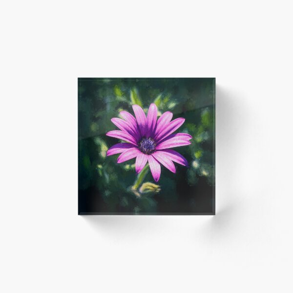 Pink Daisy (digital painting) Acrylic Block