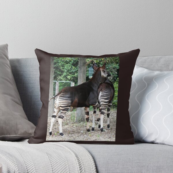 Item preview, Okapi fun! designed and sold by Sheila Smith.