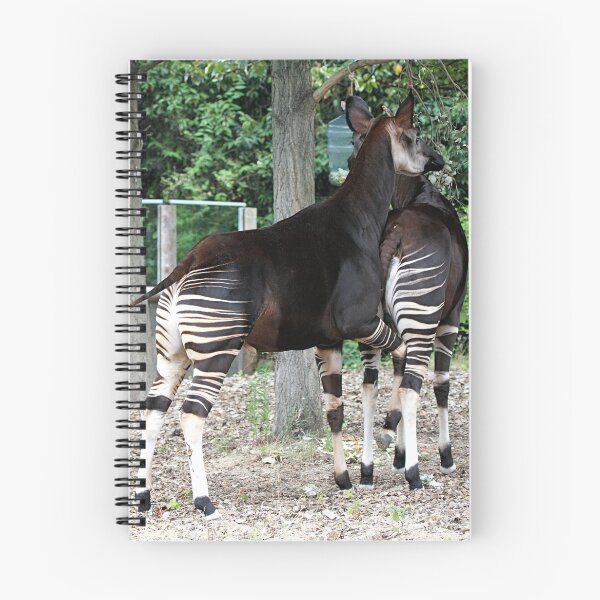 Item preview, Okapi fun! designed and sold by Sheila Smith.