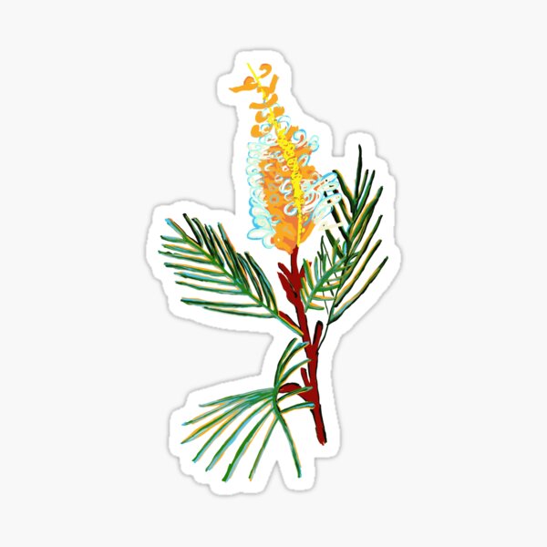 Australian Native Flower - Bottlebrush Flower Sticker