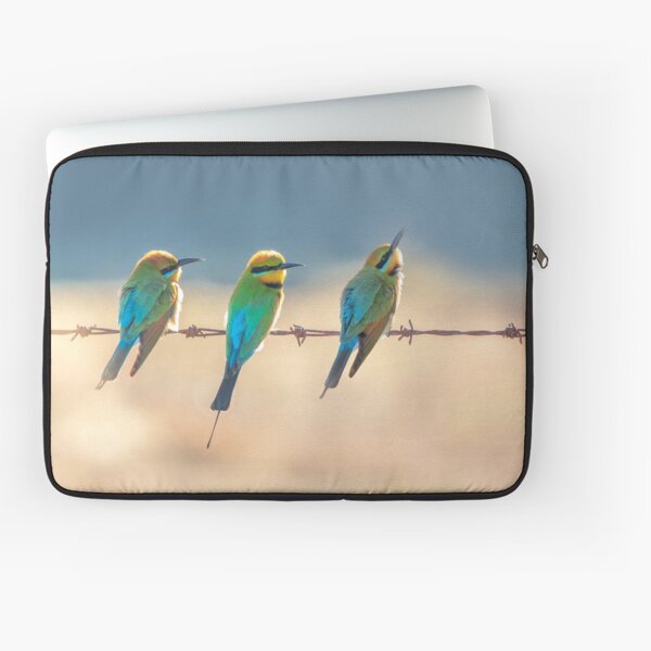Rainbow bee-eaters - Three of a Kind Laptop Sleeve