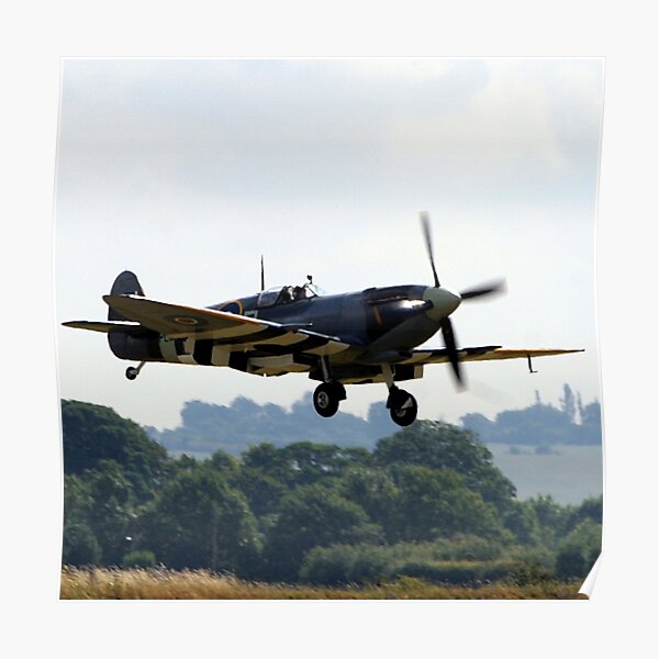 The last of the few Poster