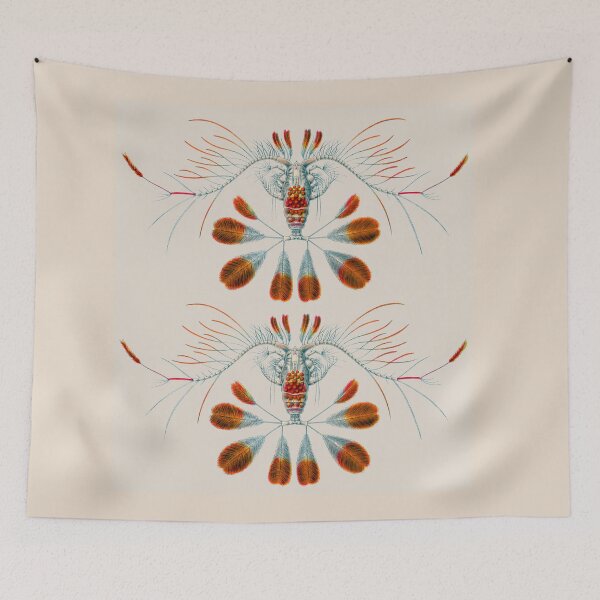 Item preview, The peacock calanid, Calocalanus pavo. designed and sold by Squirrox.