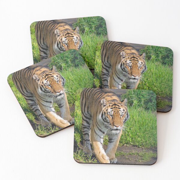 Item preview, Siberian tiger, (Panthera tigris altaica) designed and sold by Martin Leber.