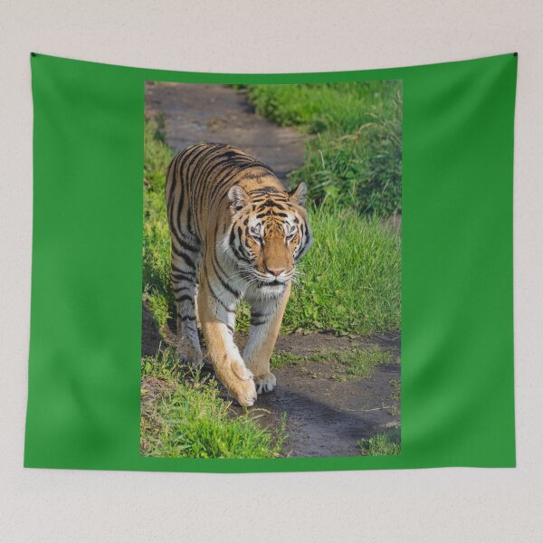 Item preview, Siberian tiger, (Panthera tigris altaica) designed and sold by Martin Leber.