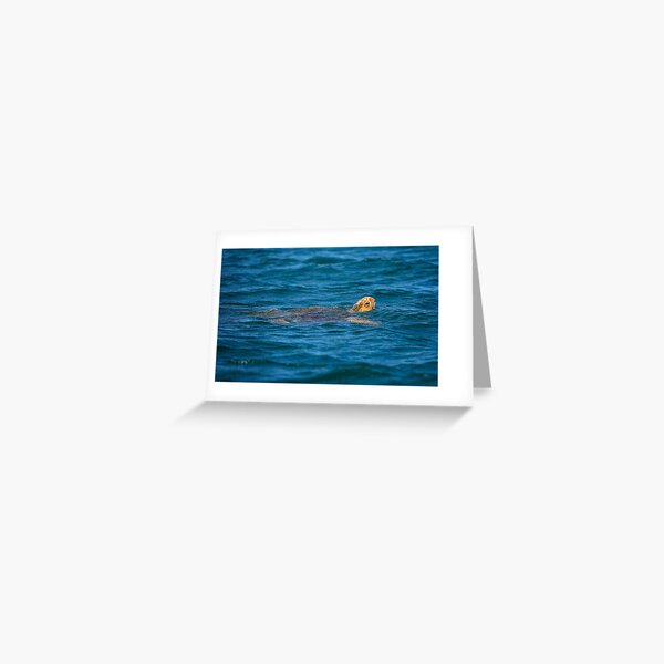Sea Turtle - The deep Blue Sea Greeting Card